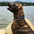 Stars Collier de chien Blue Line mince